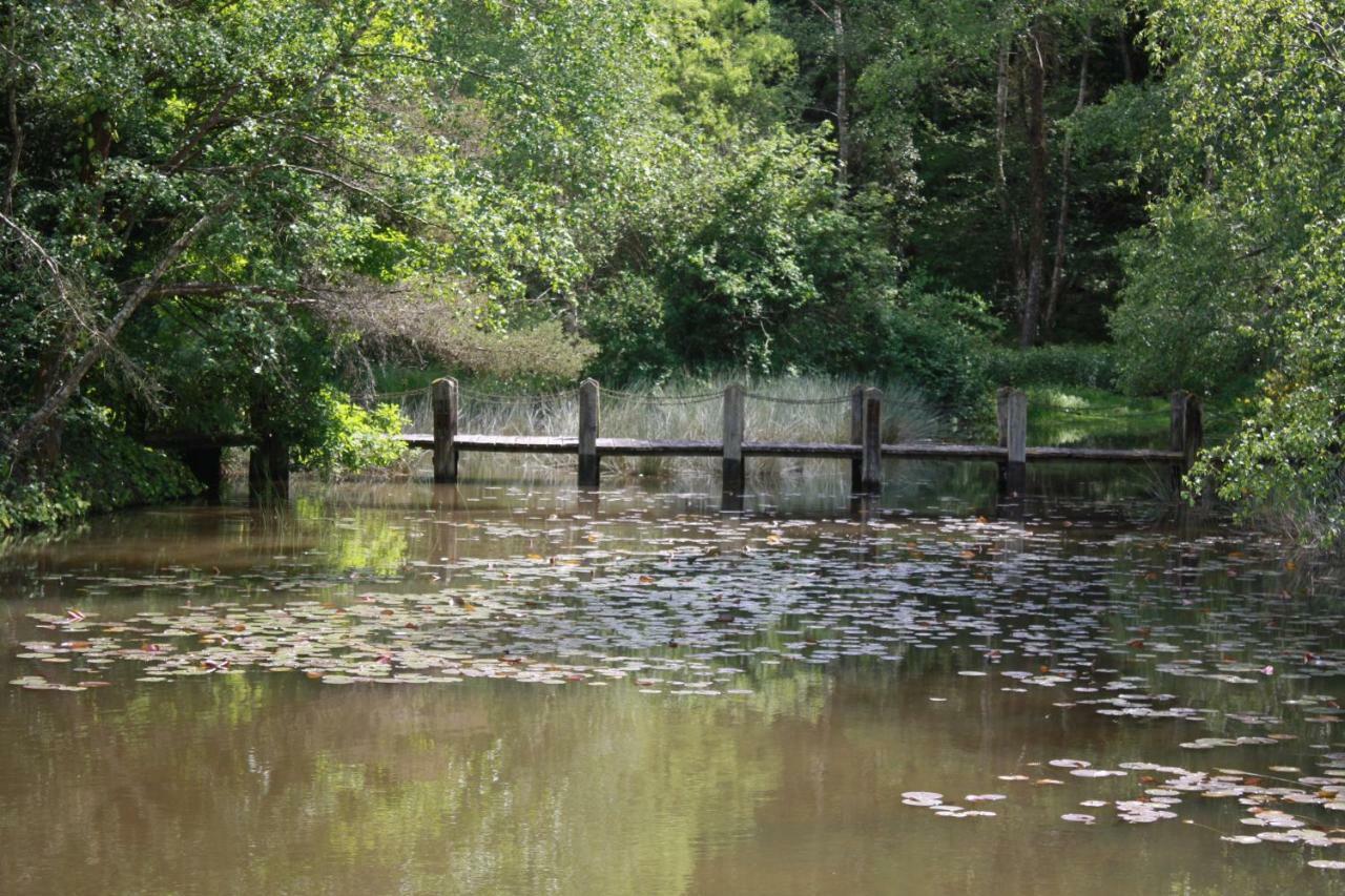 Spruce Lake Sauviat-sur-Vige Εξωτερικό φωτογραφία